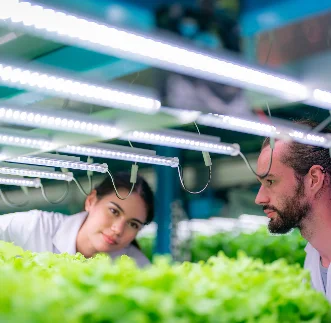Planta de emergencia para el sector agrícola y agroindustrial KEGISA